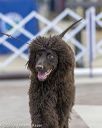 20200222-0229