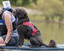 20210821-awd-0443