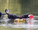 20210821-wwd-0164