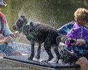 20210821-wwd-0352