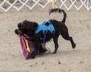 20210821-wwd-0756