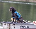 20210821-wwd-0880