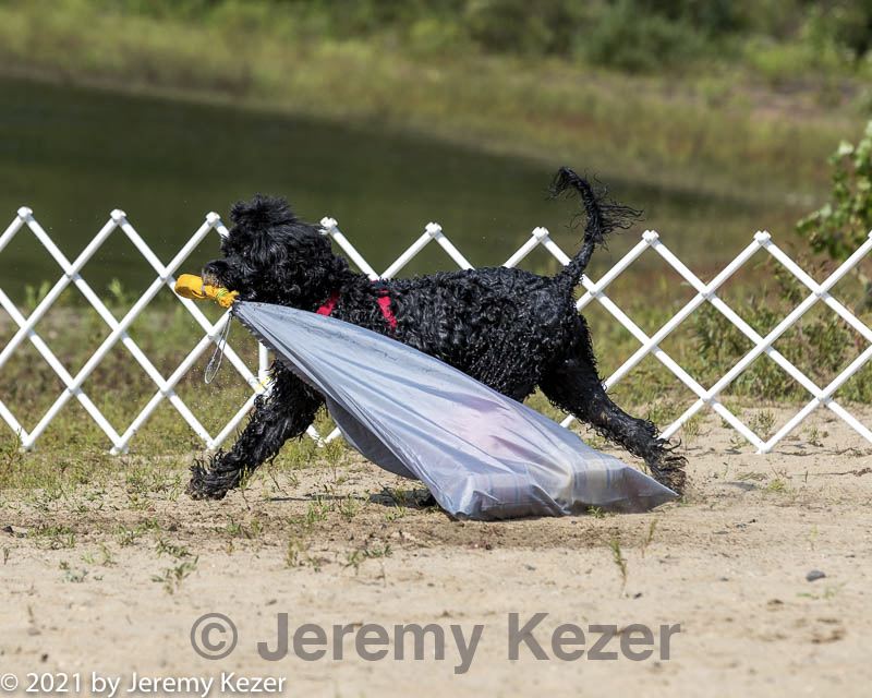 20210821-wwd-0024.jpg