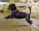 20210911-awd-0682