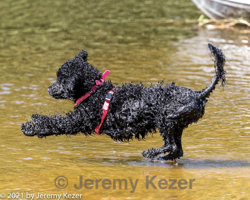 20210911-awd-0719.jpg