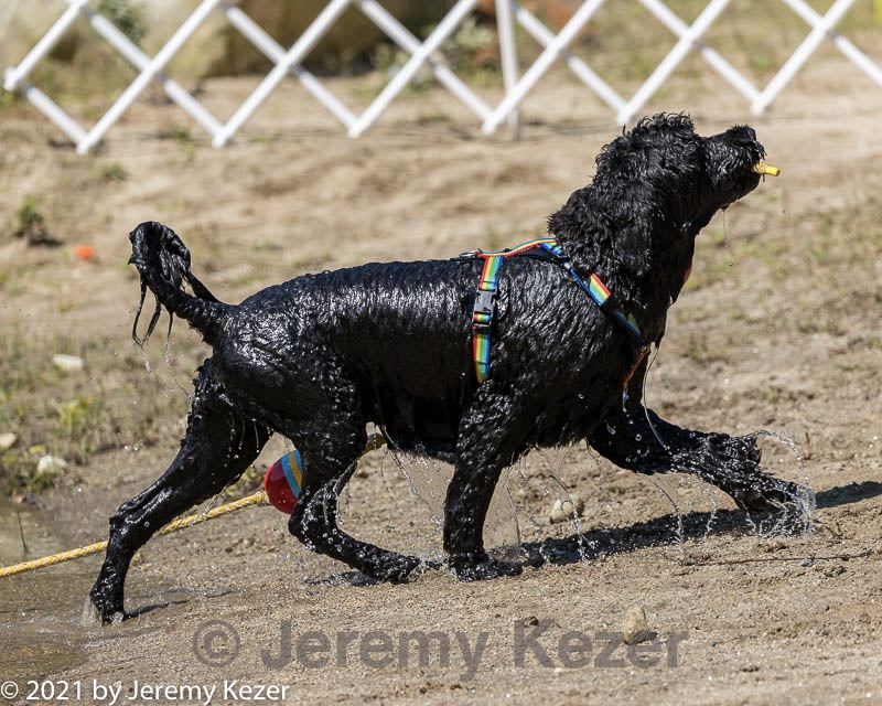 20210911-awd-0814.jpg