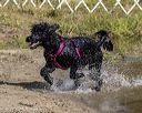 20210911-cwd-0057