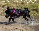 20210911-cwd-0059