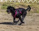 20210911-cwd-0064