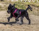 20210911-cwd-0066