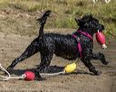 20210911-cwd-0092