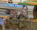 20210911-jwd-0545