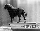 20210911-mwd-0016