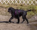 20210911-mwd-0066