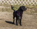 20210911-mwd-0067