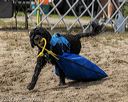20210911-wwd-0336