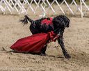 20210911-wwd-0478