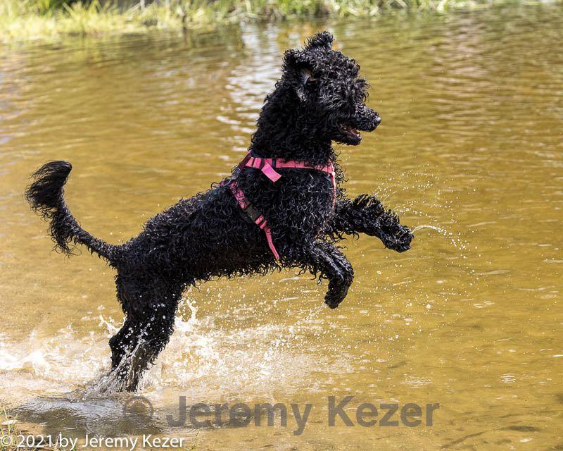 20210912-awd-0872.jpg