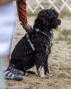 20210912-jwd-0337
