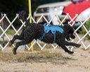 20210912-wwd-0187
