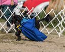 20210912-wwd-0193