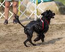 20210912-wwd-0308