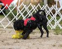 20210912-wwd-0415
