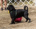 20210912-wwd-0719