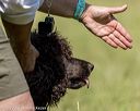 20220613-wcl-0204