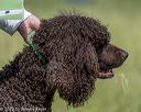 20220613-wcl-0374