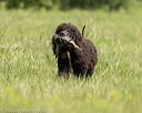 20220613-wcl-0752