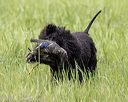 20220613-wcxw-0095