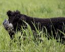 20220613-wcxw-0106