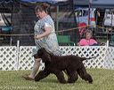 20220615-sw-1238