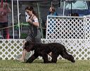 20220615-sw-0338