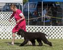 20220615-sw-0956