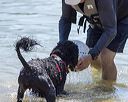 20220806-awd-0047