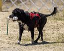 20220806-awd-0094