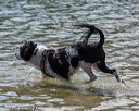 20220806-awd-0424