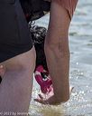 20220806-awd-0518