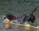 20220806-cwd-0024
