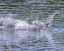 20220806-cwd-0043