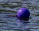 20220806-cwd-0049