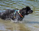 20220806-cwd-0057