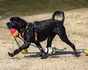 20220806-cwd-0084