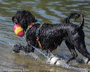 20220806-cwd-0086
