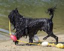 20220806-cwd-0161