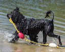 20220806-cwd-0163