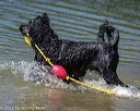 20220806-cwd-0167
