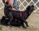 20220806-jwd-0032
